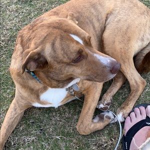 Meet your Posher, Tom